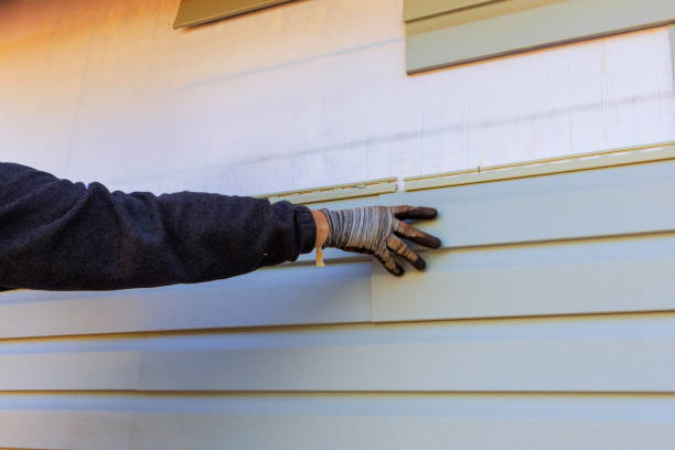 Best Siding Removal and Disposal  in Swansboro, NC